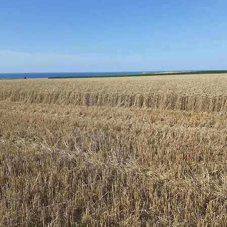 Au Coeur De Nyaraló Senneville-sur-Fécamp